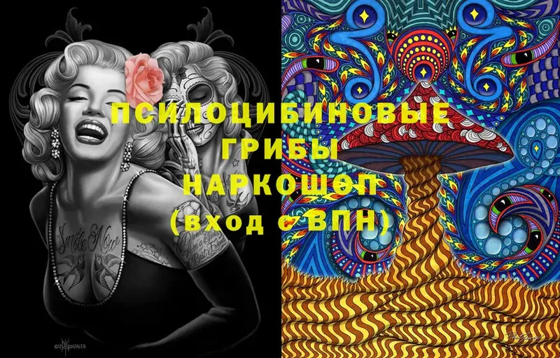 Псилоцибиновые грибы мицелий  Саров 